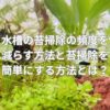 水槽の苔掃除の頻度を減らす方法と苔掃除を簡単にする方法とは？