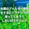 水槽のフィルター掃除をするとバクテリアが減ってしまう？しないほうがいい？