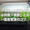 プラティの適正水温は何度？季節ごとの温度管理のコツ