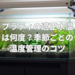 プラティの適正水温は何度？季節ごとの温度管理のコツ
